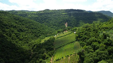 Área à Venda com 5ha Serra Gaúcha, Bento Gonçalves-RS
