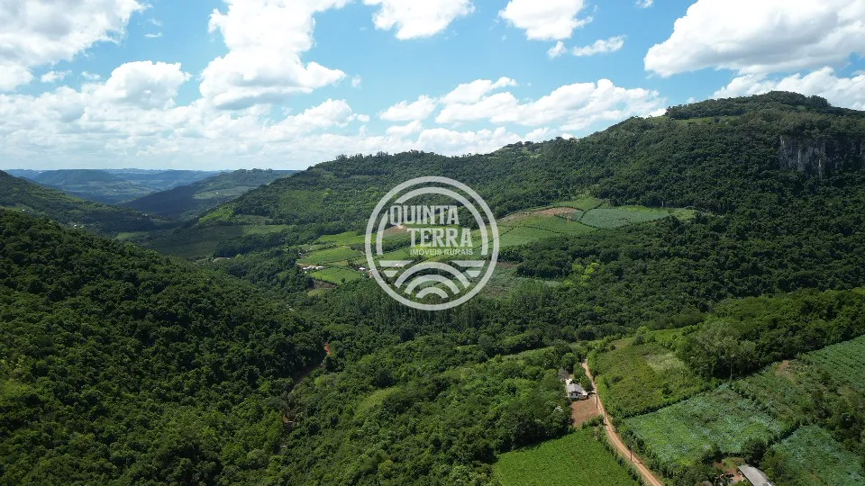 Área à Venda com 5ha - foto 7