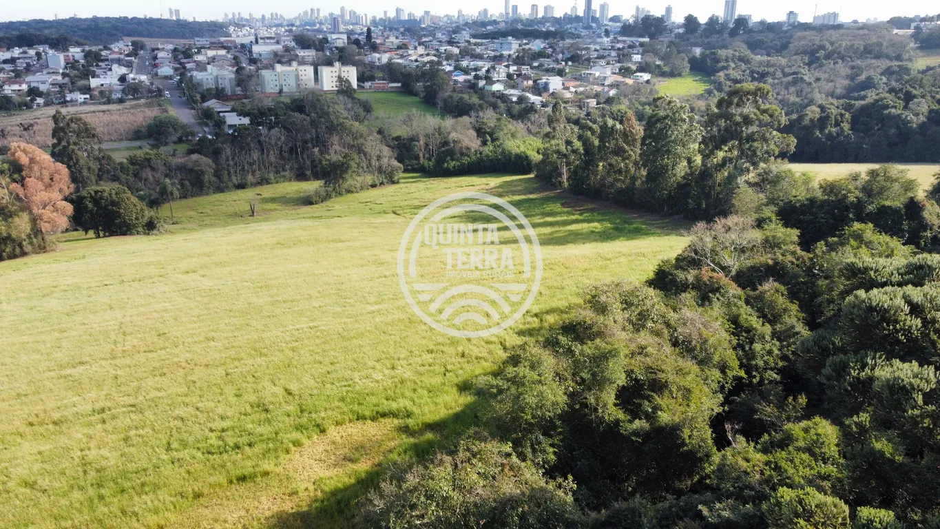 Área à Venda com 5ha - foto 2