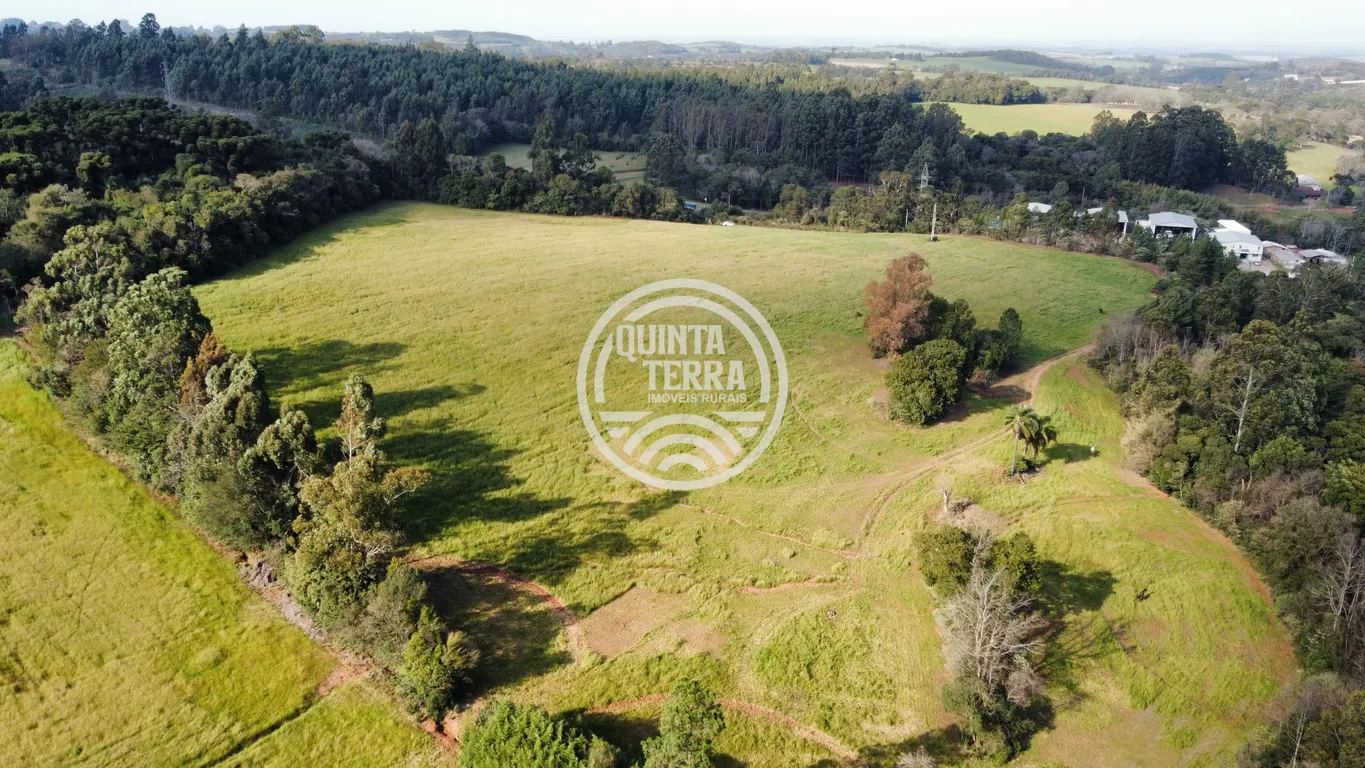Área à Venda com 5ha - foto 4