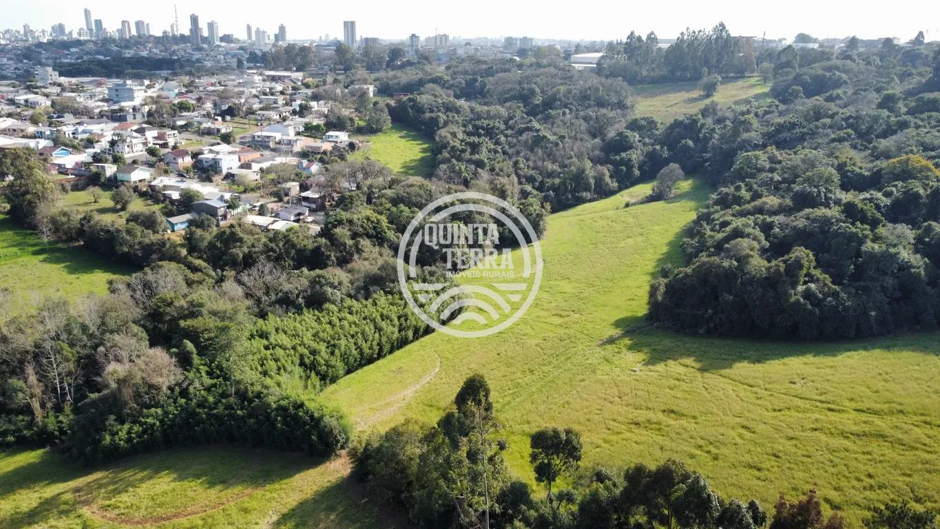 Área à Venda com 5ha - foto 6