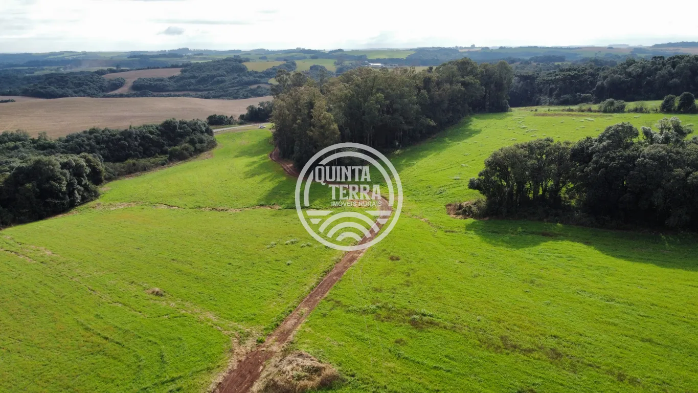 Área à Venda com 48ha - foto 3