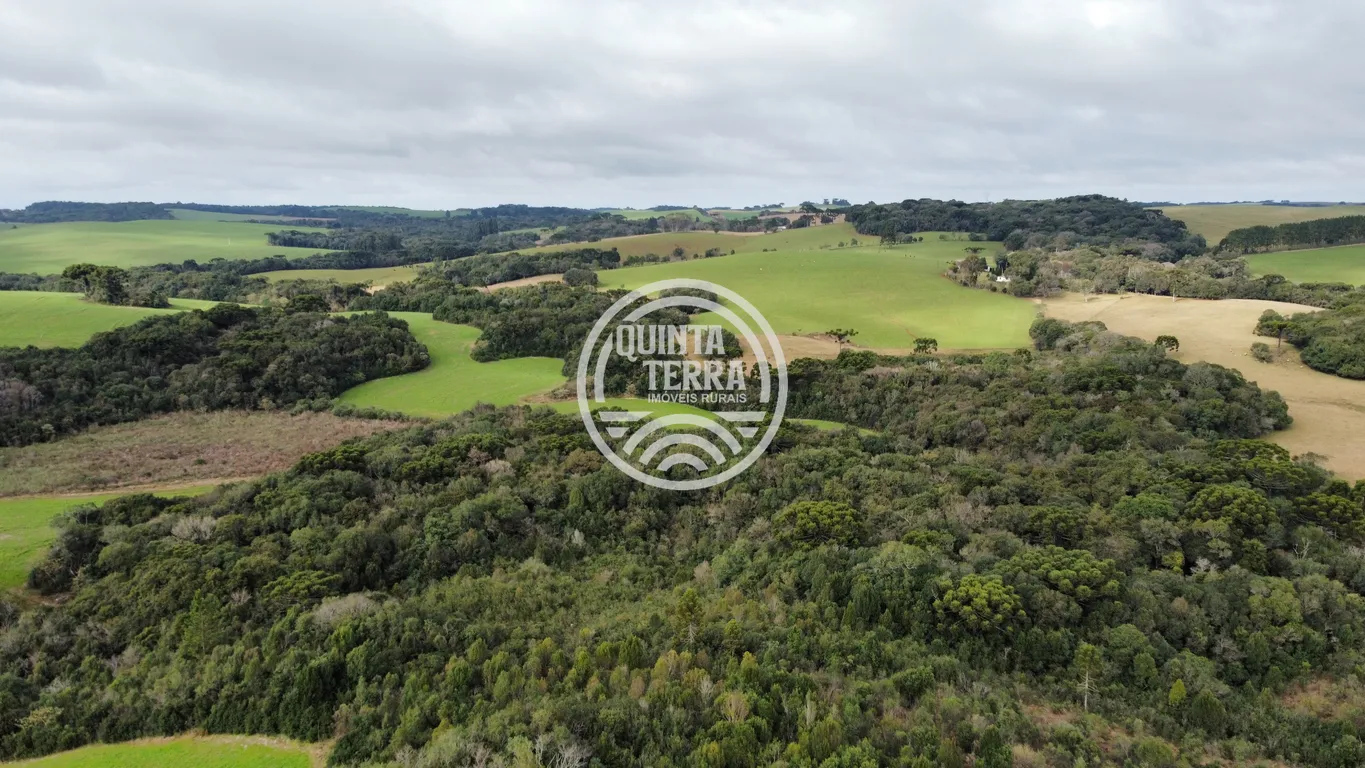 Área à Venda com 48ha - foto 5