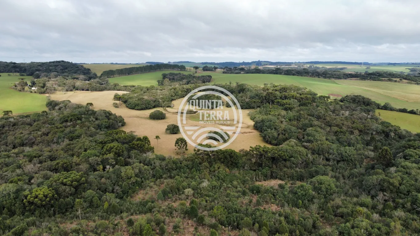 Área à Venda com 48ha - foto 6