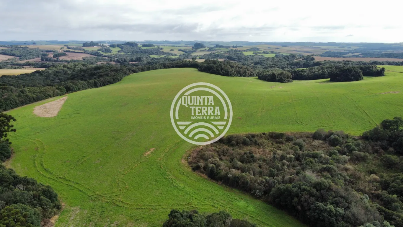 Área à Venda com 48ha - foto 8
