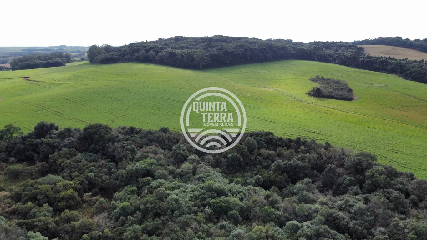 Área à Venda com 48ha - foto 9