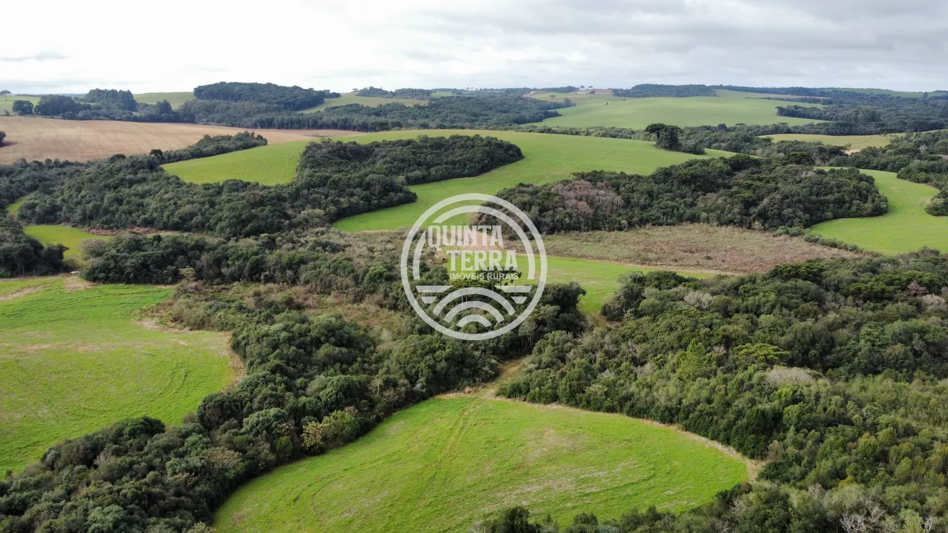 Área à Venda com 48ha - foto 10