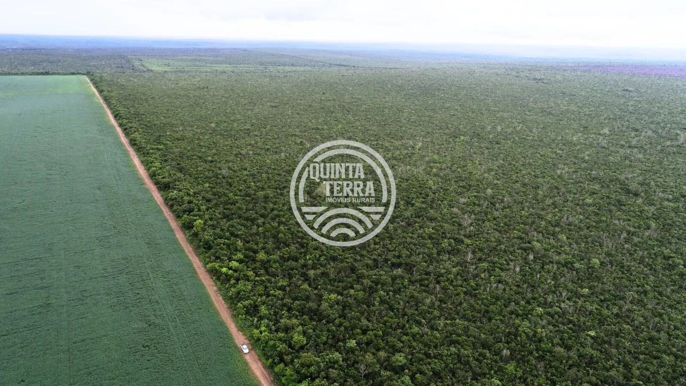 Área à Venda com 563ha - foto 6