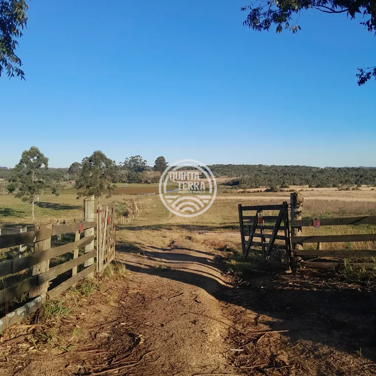 Área à Venda com 98ha - foto 7