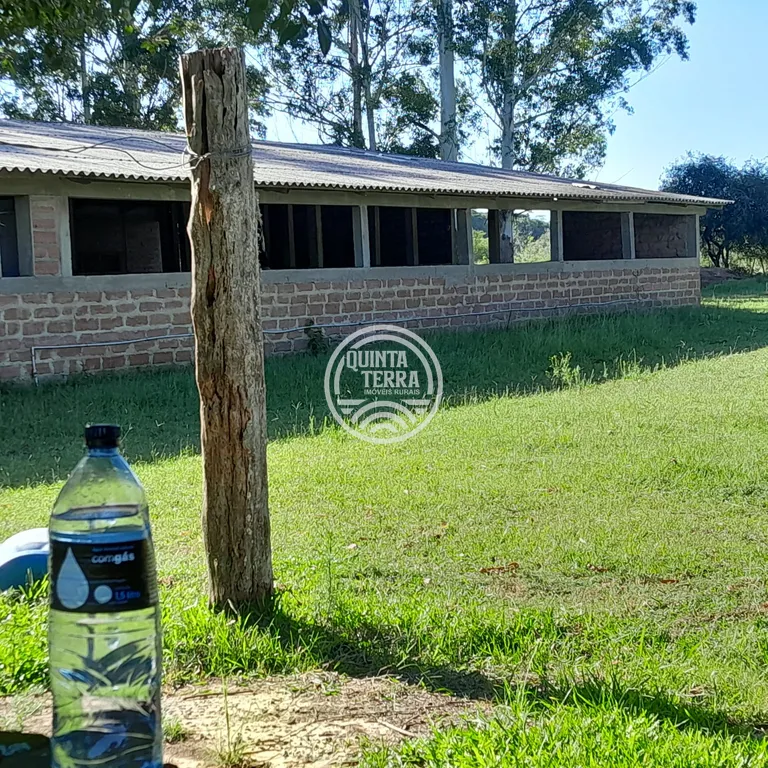 Área à Venda com 98ha - foto 6