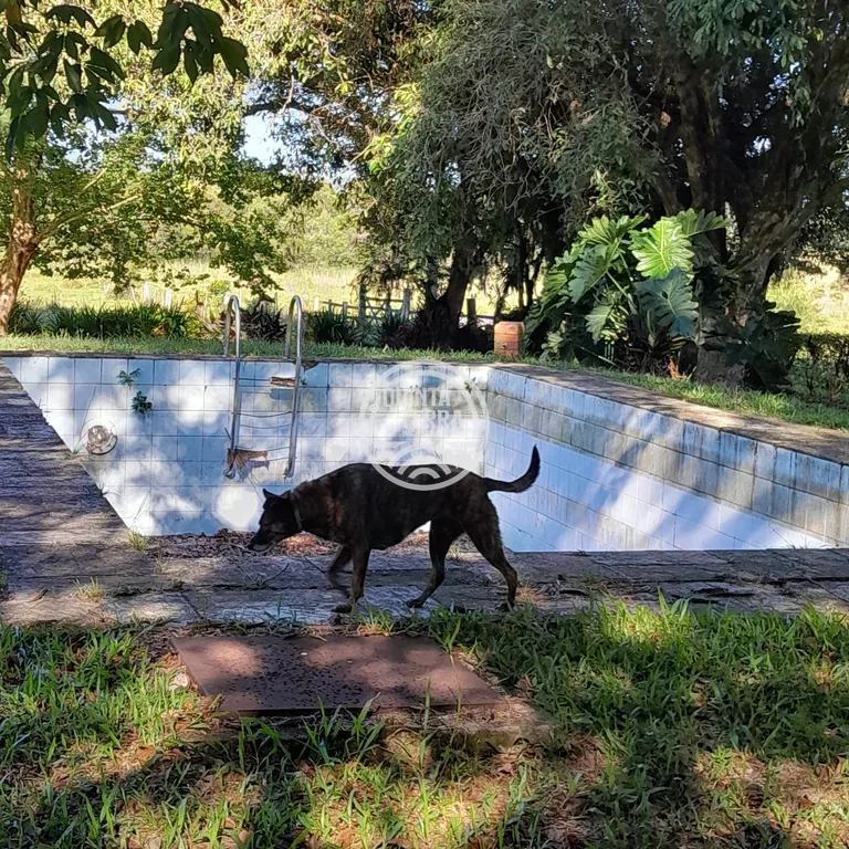 Área à Venda com 98ha - foto 3