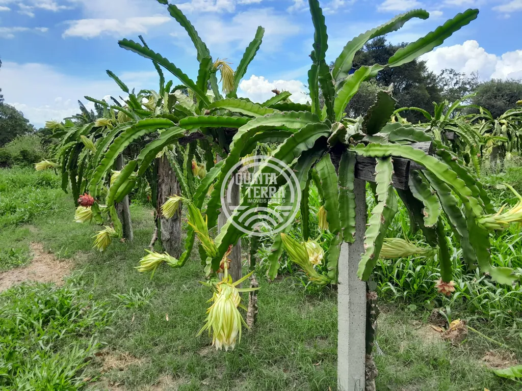Área à Venda com 98ha - foto 9
