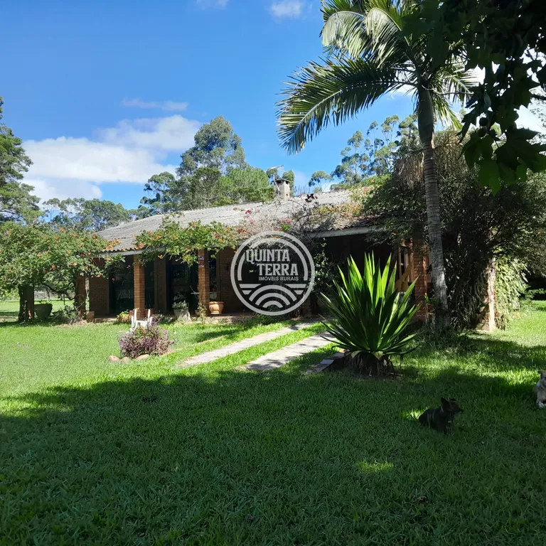 Área à Venda com 98ha - foto 16