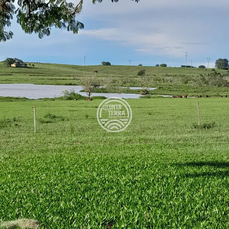 Área à Venda com 98ha - foto 1