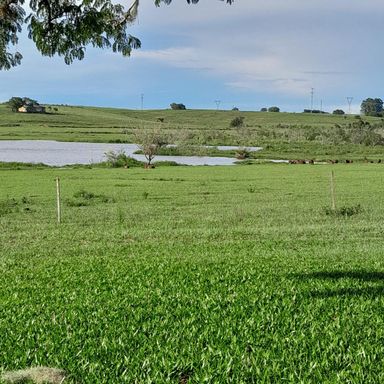 Área à Venda com 98ha Porto Alegre, Porto Alegre-RS