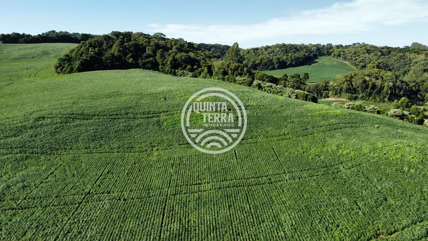 Área à Venda com 236ha - foto 13