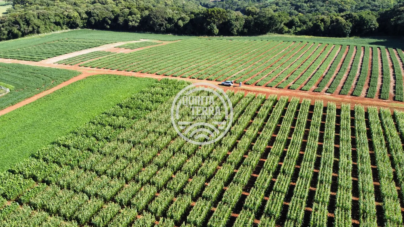 Área à Venda com 236ha - foto 17