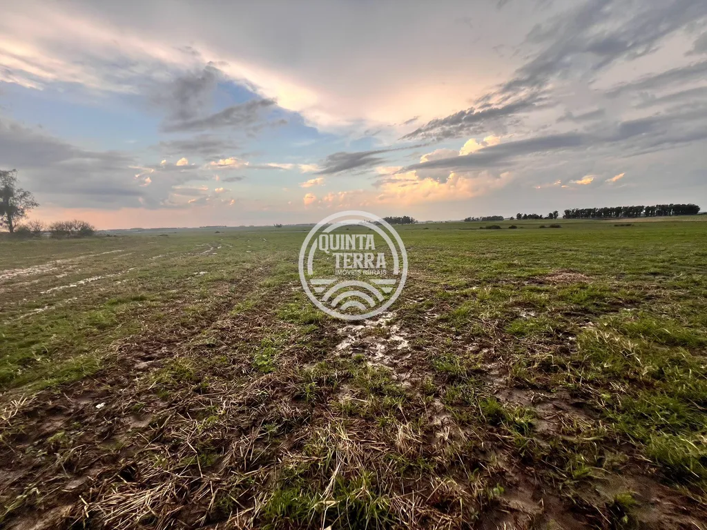 Área à Venda com 264ha - foto 3