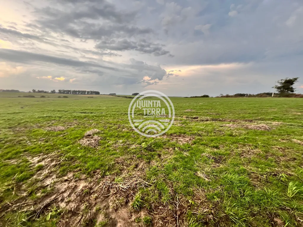 Área à Venda com 264ha - foto 12