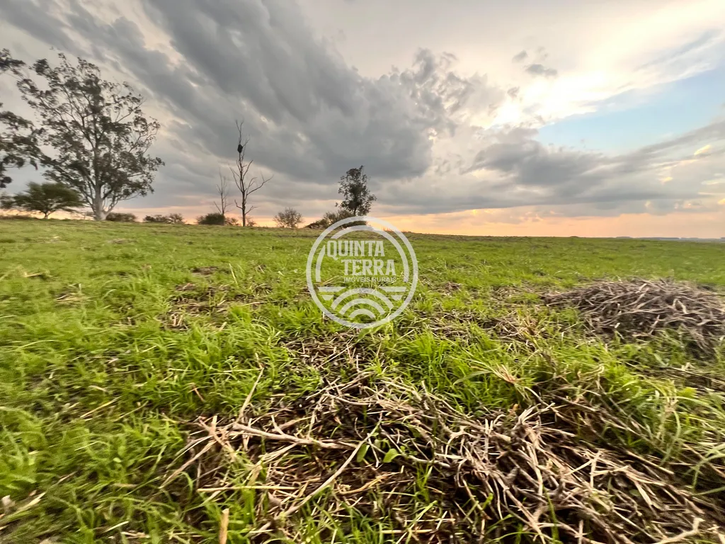 Área à Venda com 264ha - foto 14