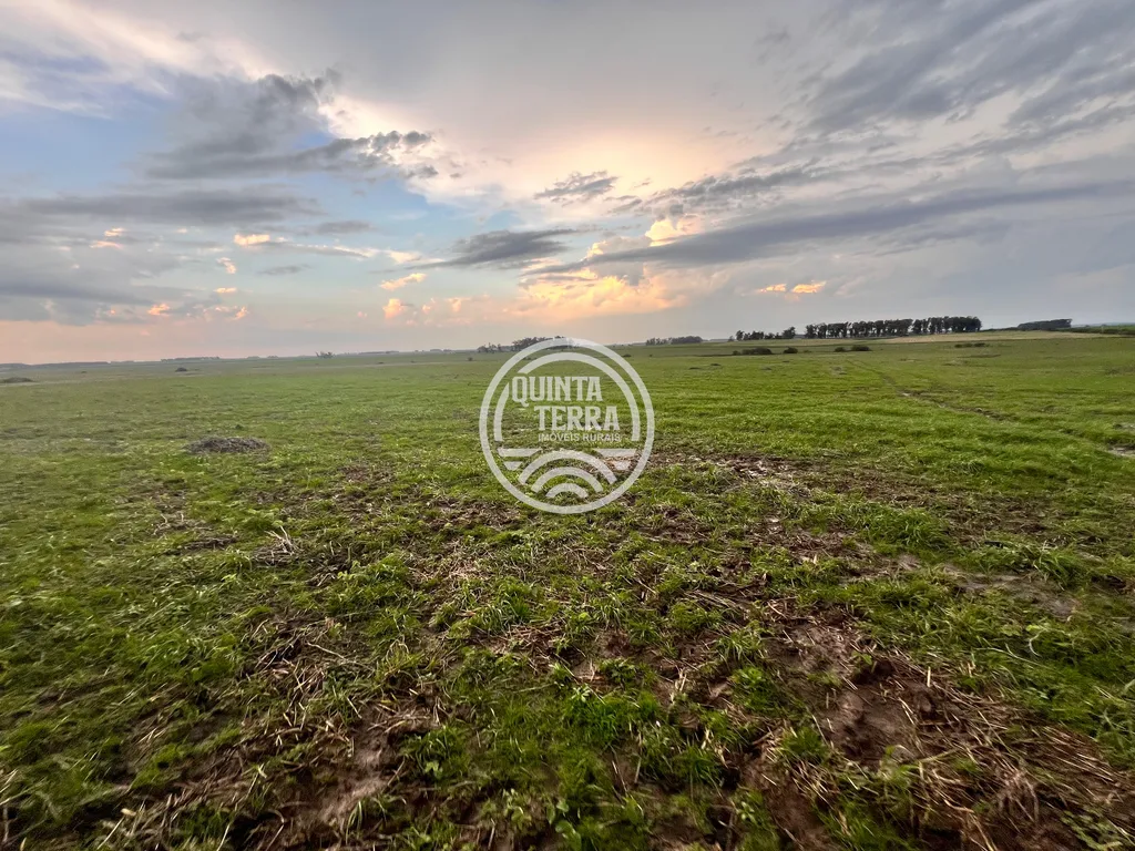 Área à Venda com 264ha - foto 17