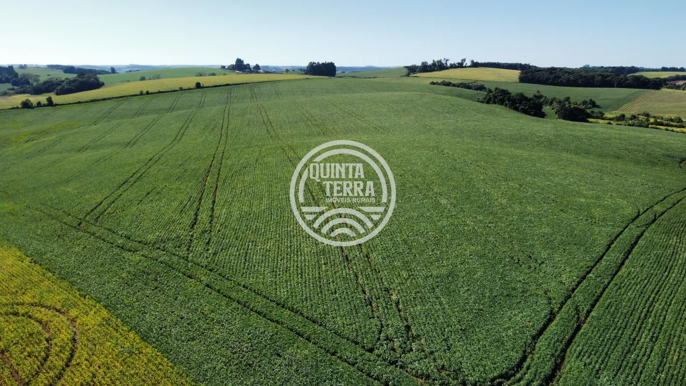 Área à Venda com 236ha - foto 19