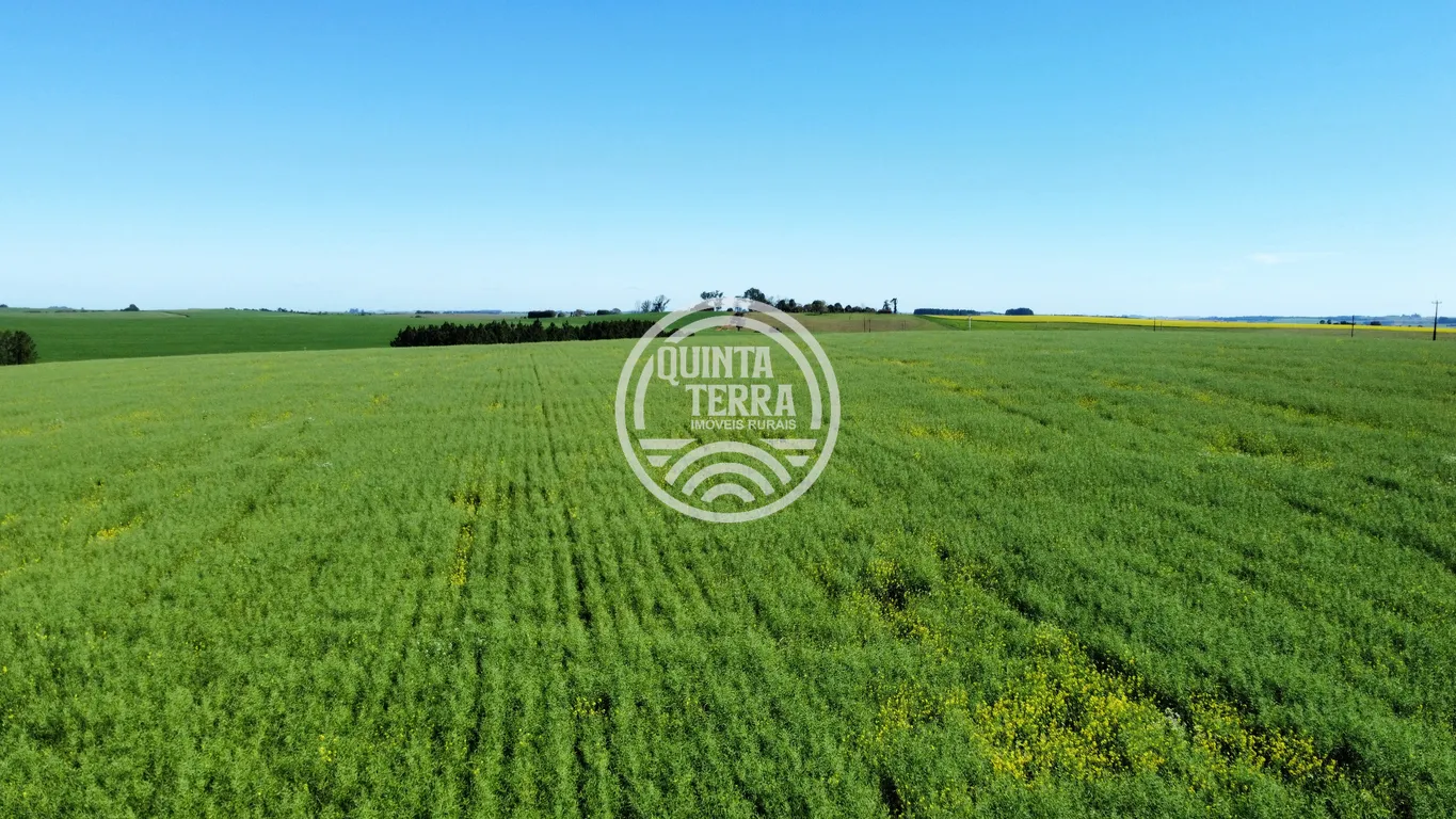 Área à Venda com 180ha - foto 3