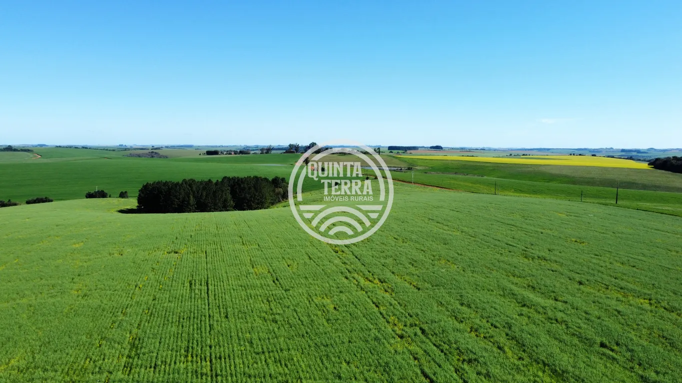 Área à Venda com 180ha - foto 5