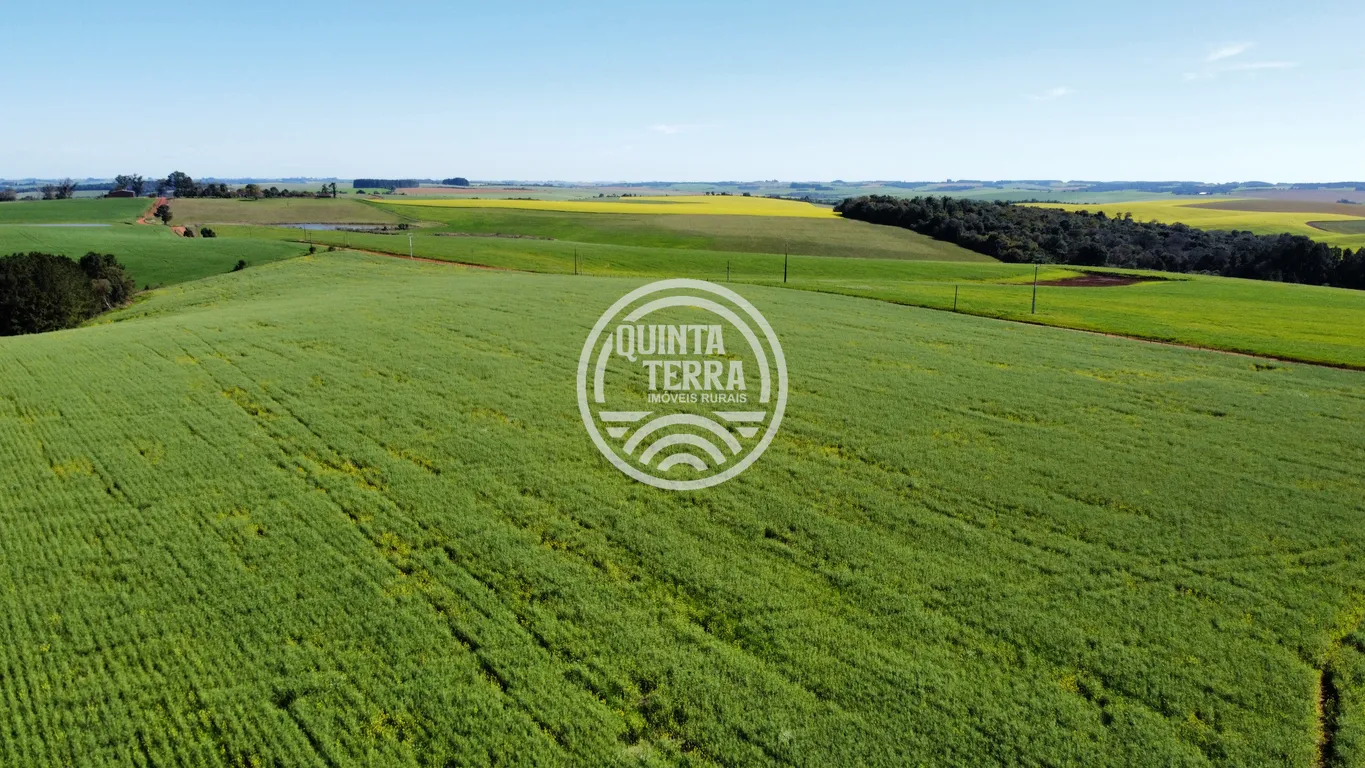 Área à Venda com 180ha - foto 7