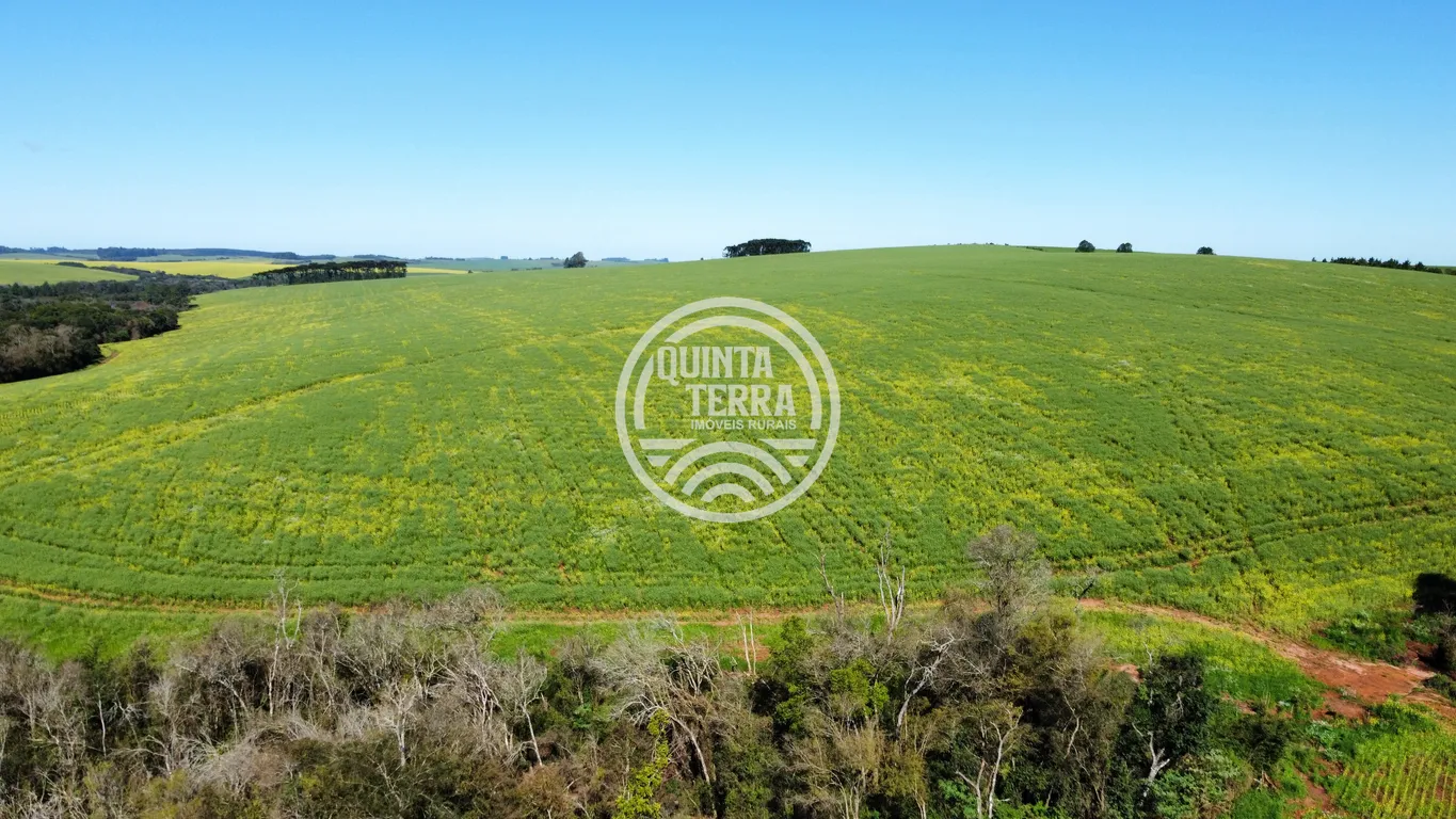 Área à Venda com 180ha - foto 8