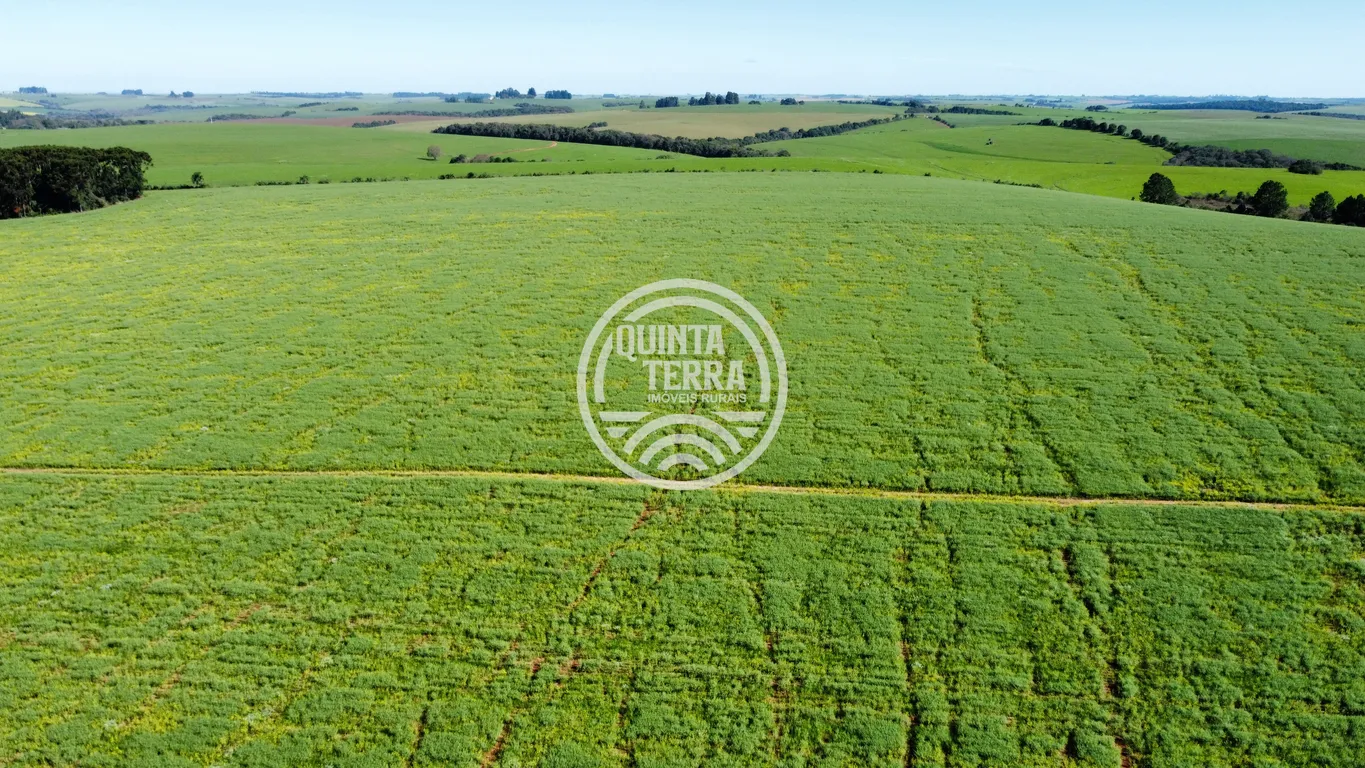Área à Venda com 180ha - foto 15