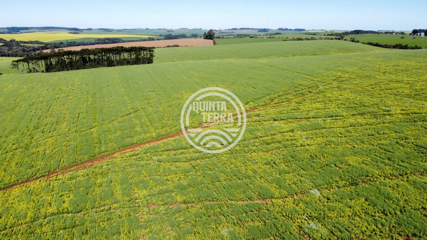 Área à Venda com 180ha - foto 18