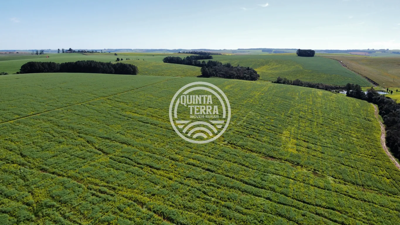 Área à Venda com 180ha - foto 22