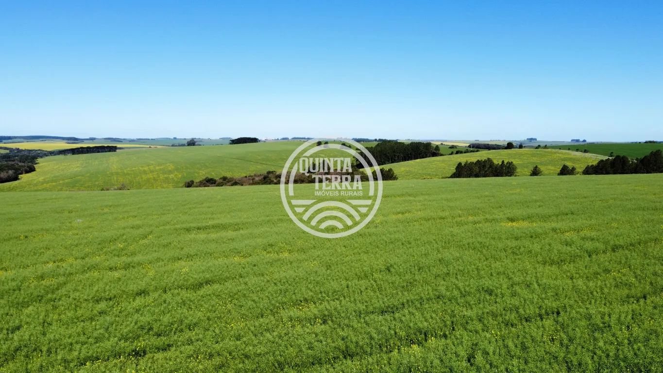 Área à Venda com 180ha - foto 1