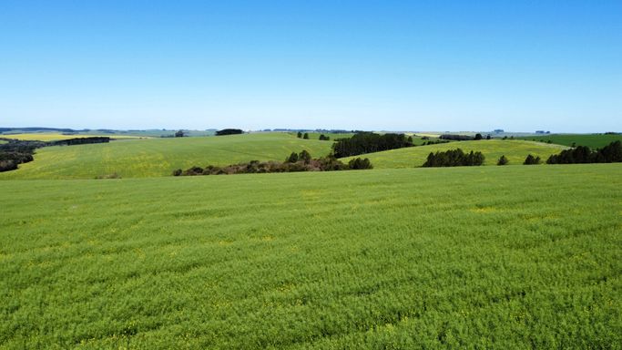 Área à Venda com 180ha Área Rural de Passo Fundo, Passo Fundo-RS