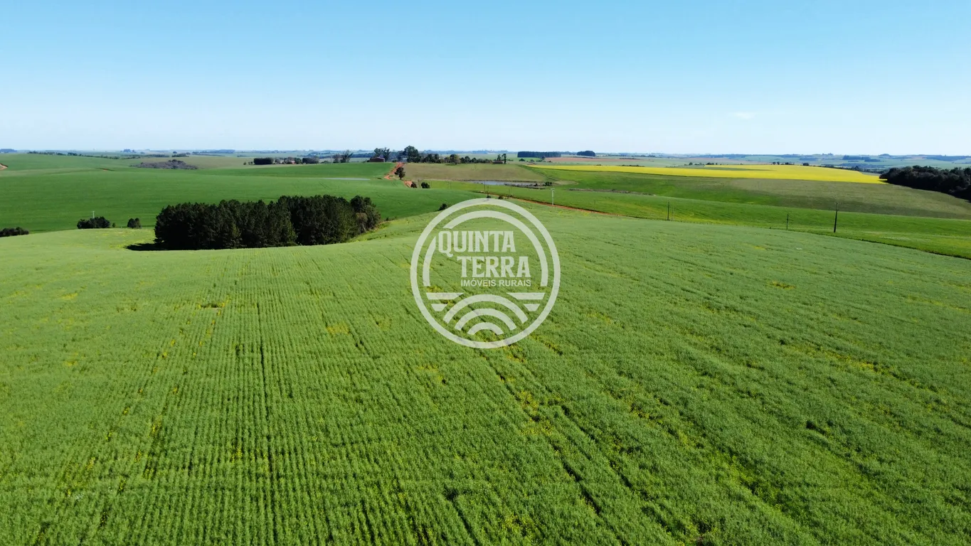 Área à Venda com 180ha - foto 6