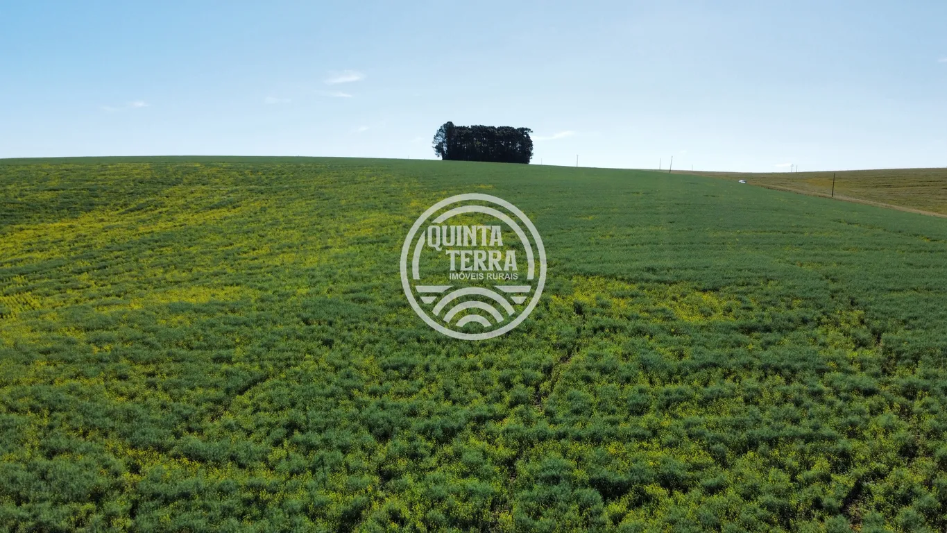 Área à Venda com 180ha - foto 9