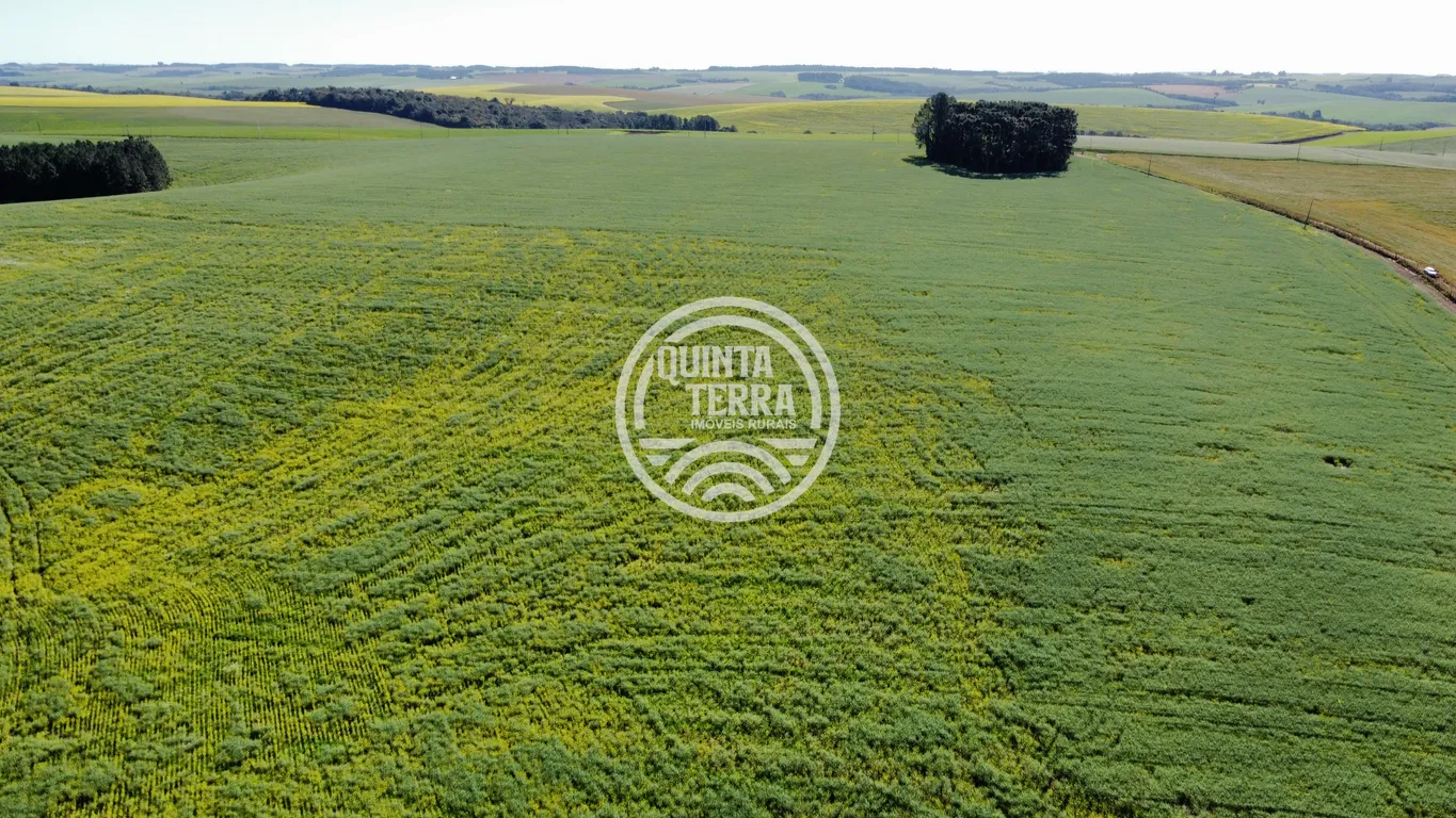 Área à Venda com 180ha - foto 10