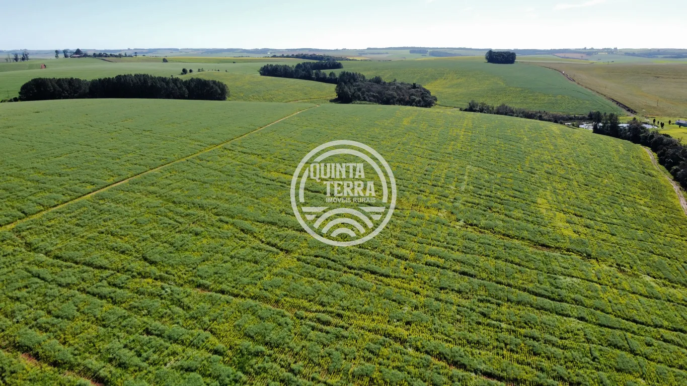 Área à Venda com 180ha - foto 13