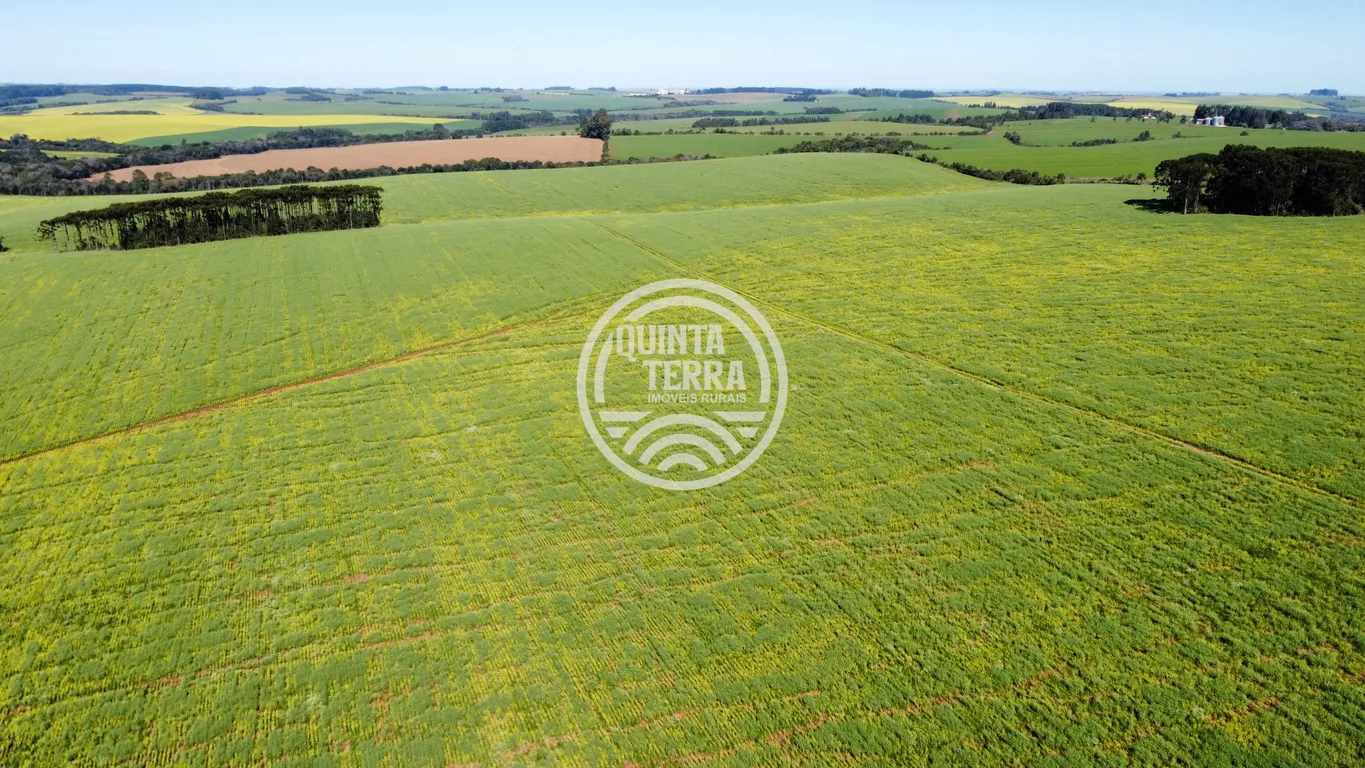 Área à Venda com 180ha - foto 16