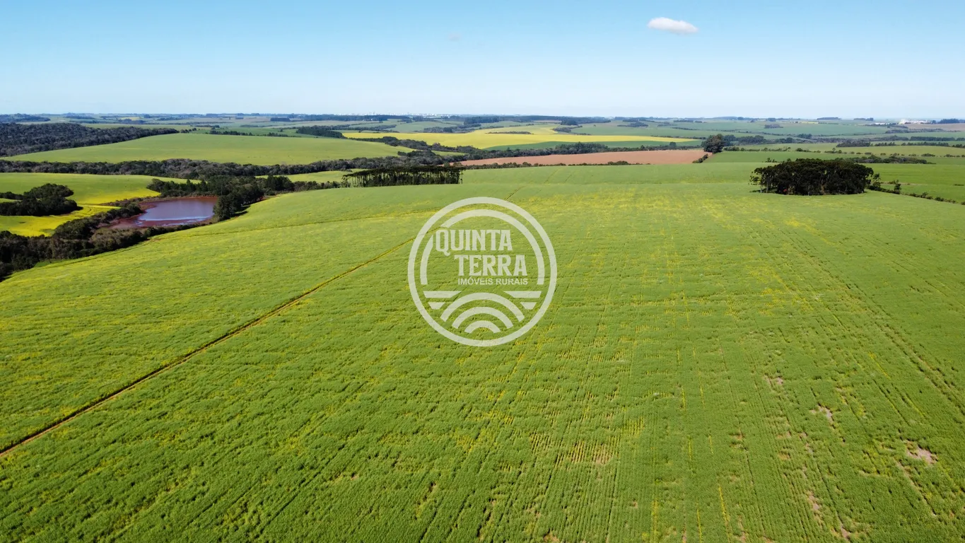 Área à Venda com 180ha - foto 19
