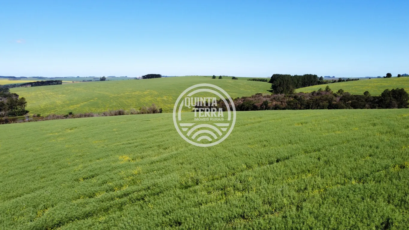 Área à Venda com 180ha - foto 23