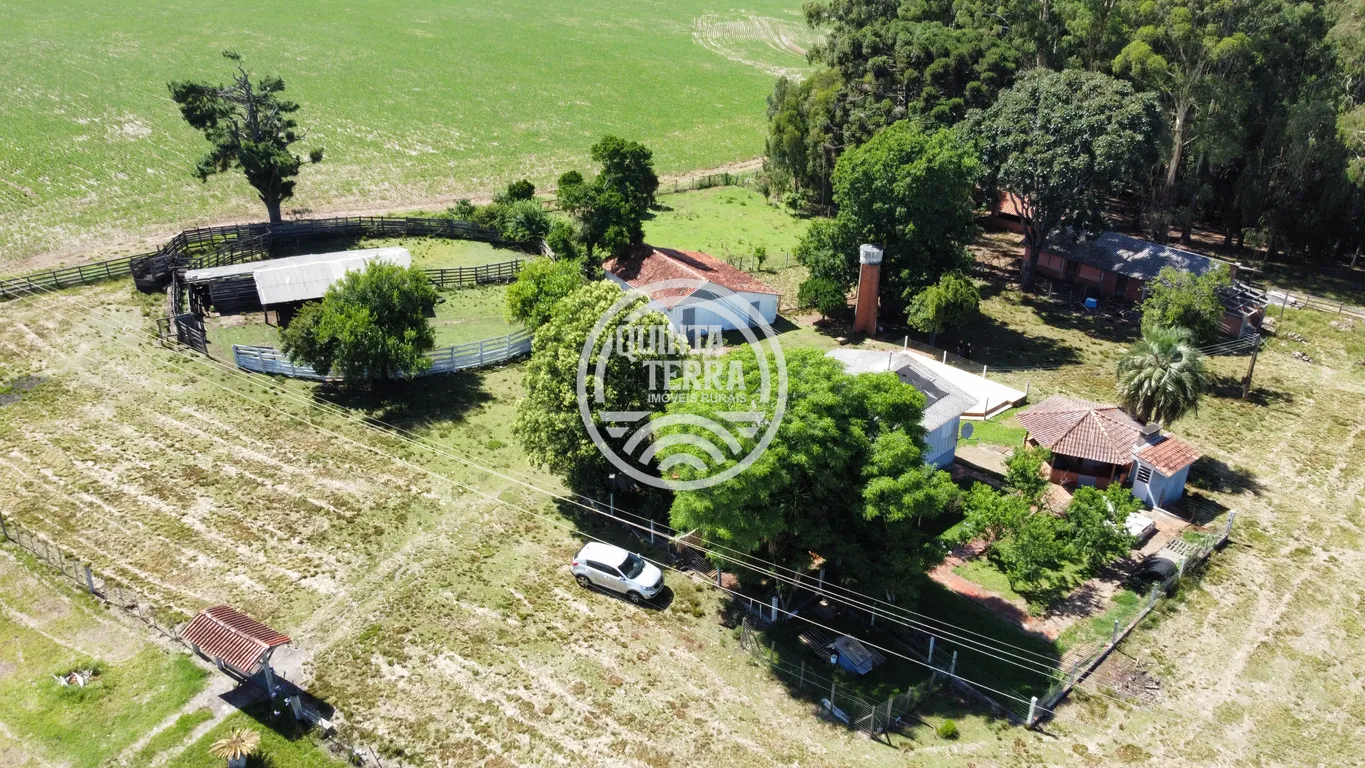 Área à Venda com 6ha - foto 6