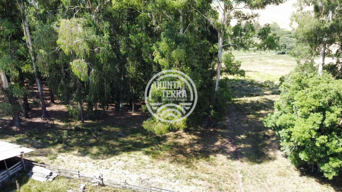 Área à Venda com 6ha - foto 8