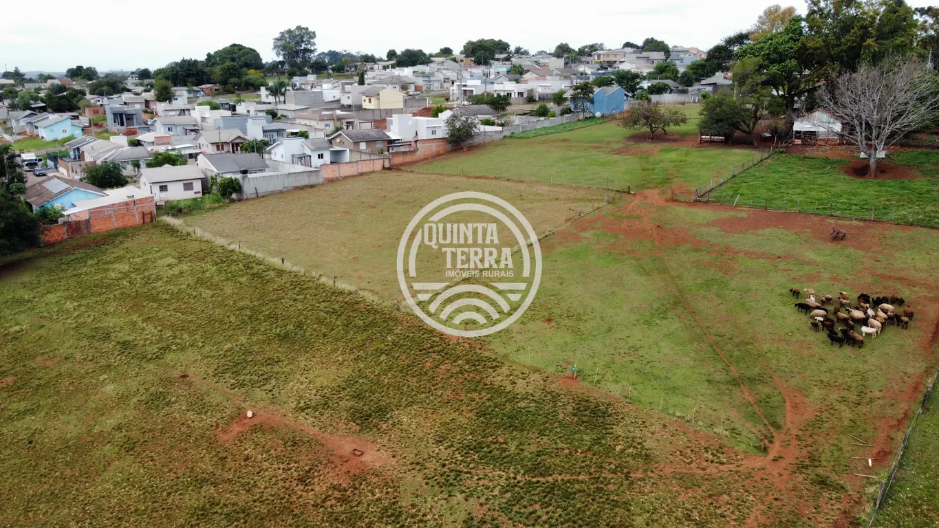 Área à Venda com 3ha - foto 9