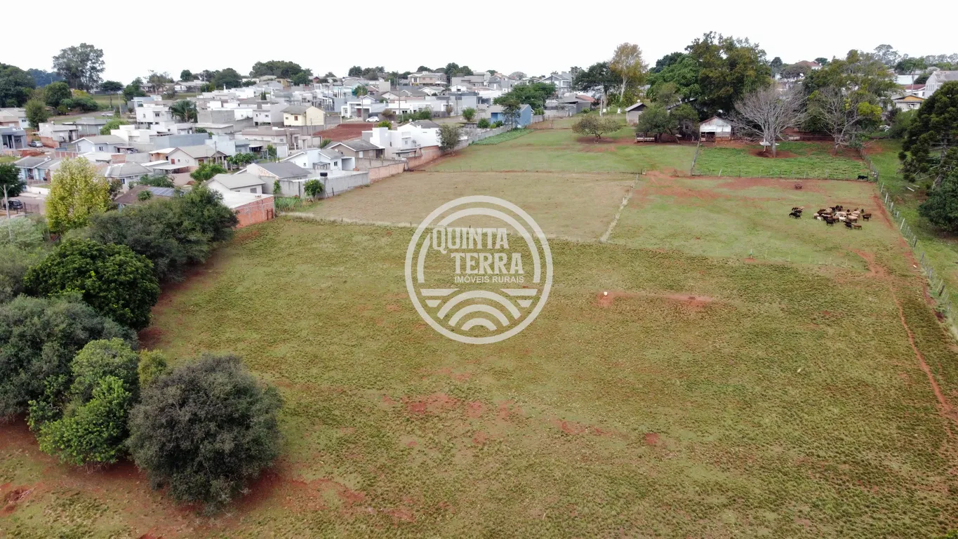 Área à Venda com 3ha - foto 10