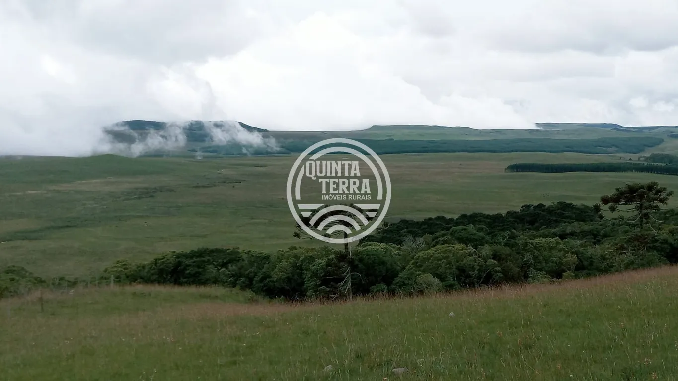 Área à Venda com 20ha - foto 2