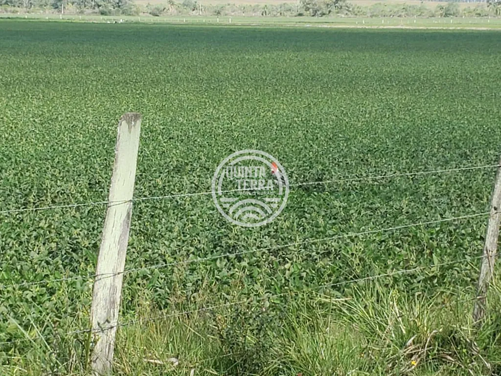 Área à Venda com 396ha - foto 3