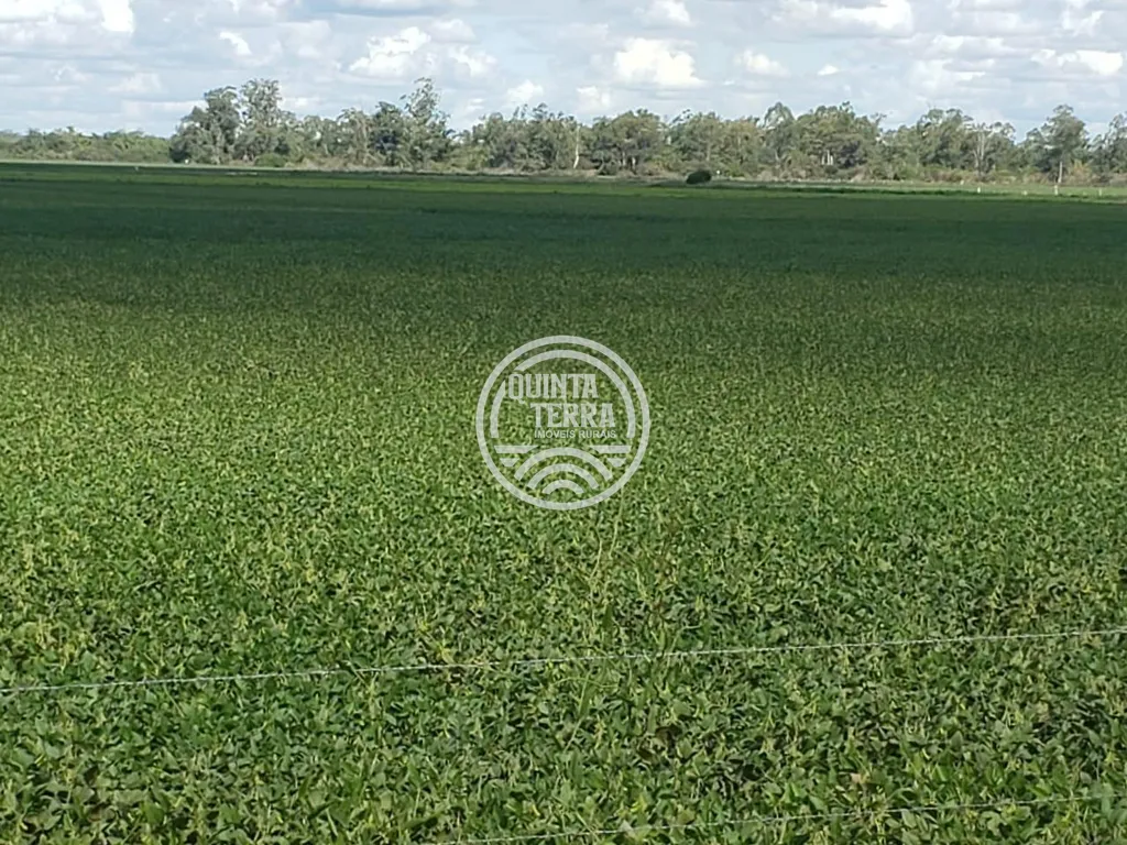 Área à Venda com 396ha - foto 4