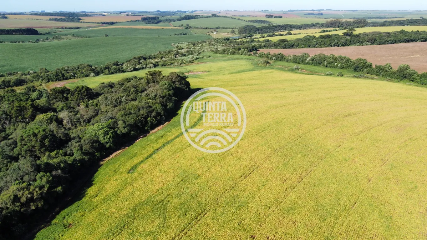 Área à Venda com 27ha - foto 2